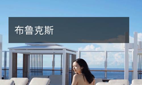 布魯克斯